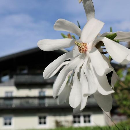 Haus Brandstatter Appartamento Eben Im Pongau Esterno foto