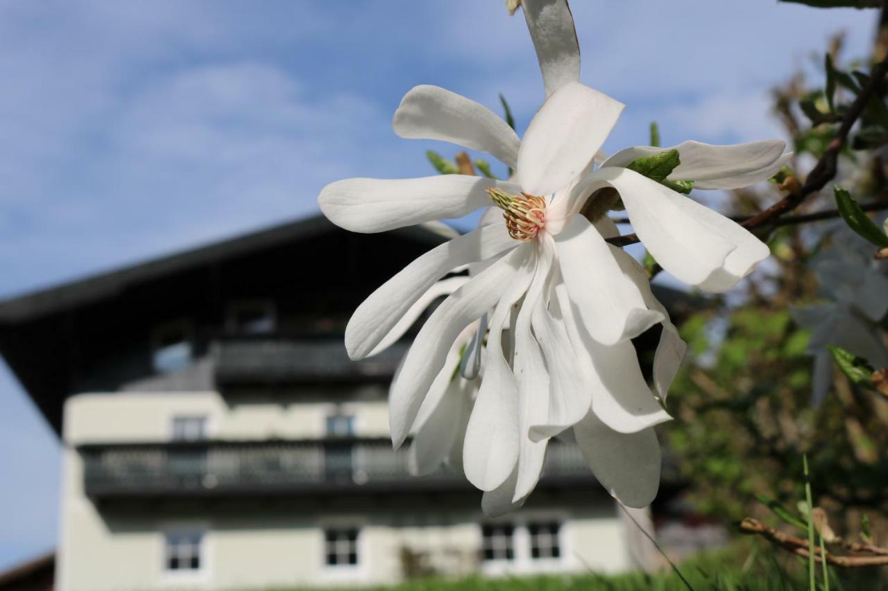 Haus Brandstatter Appartamento Eben Im Pongau Esterno foto